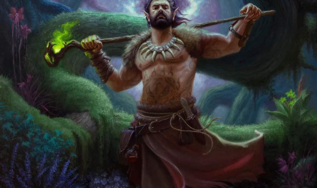 Circle of the Moon Druid in D&D 5e | Full Subclass Guide